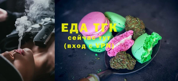 индика Приозерск