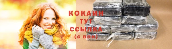 индика Приозерск