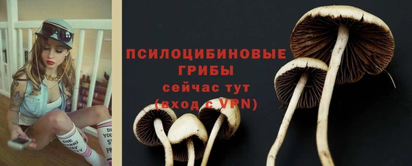 спиды Протвино