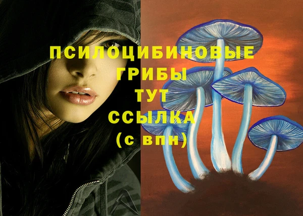 спиды Пролетарск