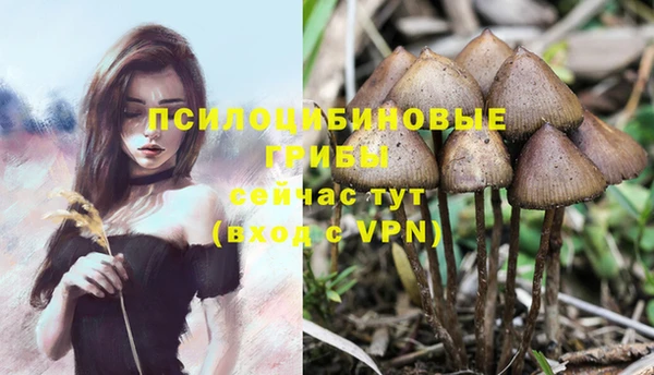 спиды Пролетарск