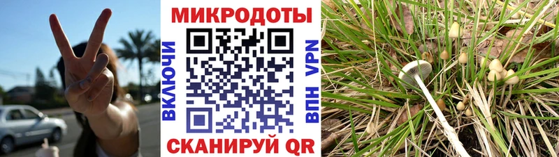 наркотики  Стрежевой  Псилоцибиновые грибы Magic Shrooms 