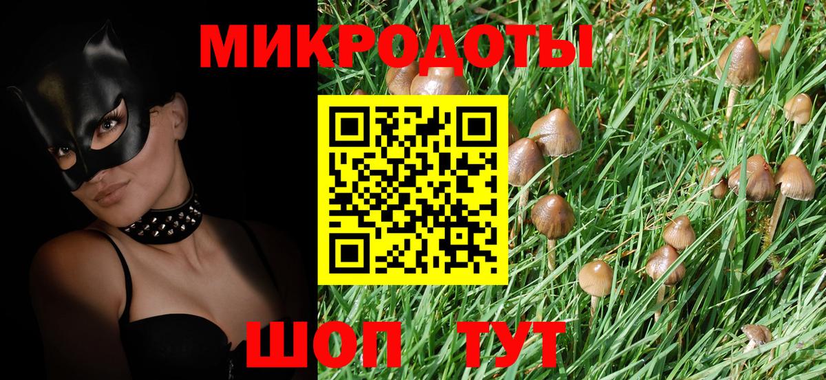 Псилоцибиновые грибы мицелий Стрежевой