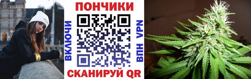 Бошки Шишки план где купить наркотик Стрежевой
